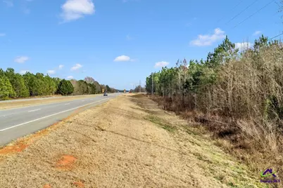 Hwy 341/49 Highway 341/49, Fort Valley, GA 31030 - Photo 14