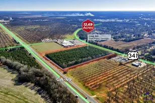Hwy 341/49 Hwy 341/49, Fort Valley, GA 31030 - Photo 1