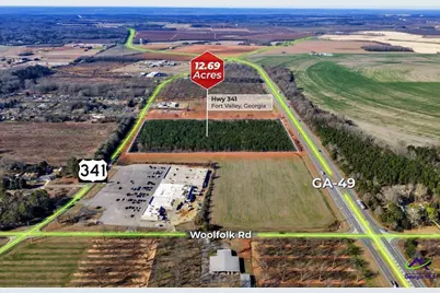 Hwy 341/49 Highway 341/49, Fort Valley, GA 31030 - Photo 18