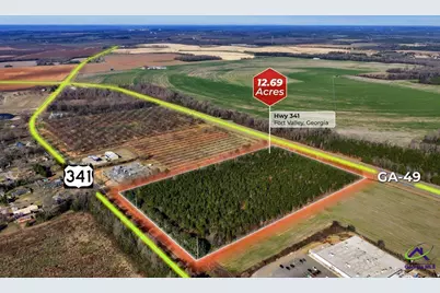 Hwy 341/49 Highway 341/49, Fort Valley, GA 31030 - Photo 16