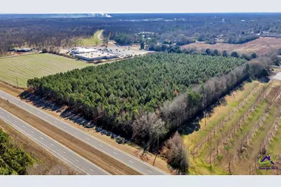 Hwy 341/49 Highway 341/49, Fort Valley, GA 31030 - Photo 2