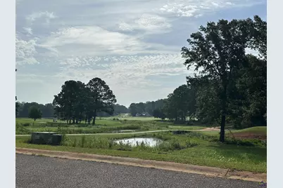 Lt 21 Camden Way, Hawkinsville, GA 31063 - Photo 8