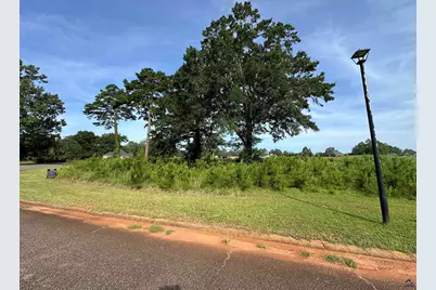 Lt 21 Camden Way, Hawkinsville, GA 31063 - Photo 2