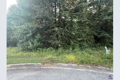 102 Saint Croix Court, Perry, GA 31069 - Photo 4
