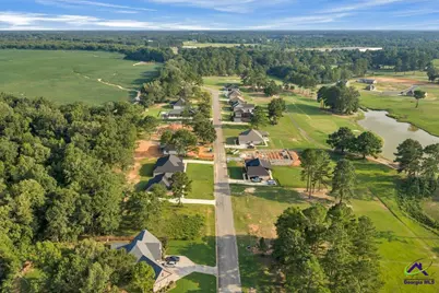 0 River Ridge Drive, Hawkinsville, GA 31036 - Photo 16