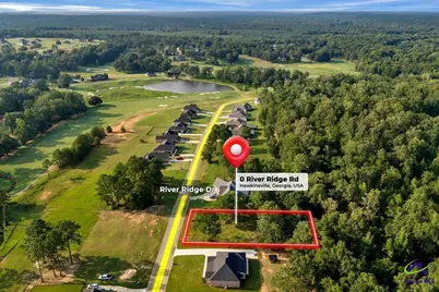 0 River Ridge Drive, Hawkinsville, GA 31036 - Photo 4