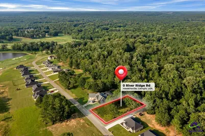 0 River Ridge Drive, Hawkinsville, GA 31036 - Photo 6