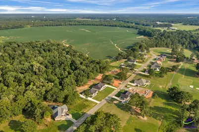 0 River Ridge Drive, Hawkinsville, GA 31036 - Photo 10