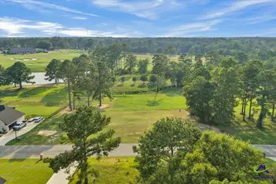 0 River Ridge Drive, Hawkinsville, GA 31036 - Photo 8