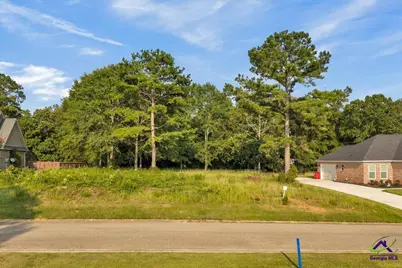 0 River Ridge Drive, Hawkinsville, GA 31036 - Photo 12