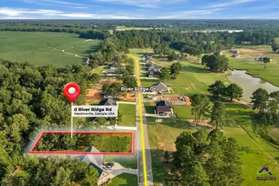 0 River Ridge Drive, Hawkinsville, GA 31036 - Photo 1