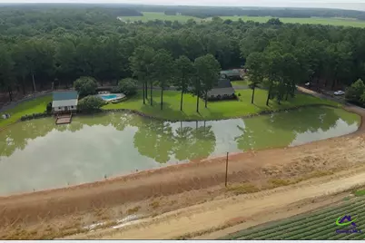 85 Antioch Church Road, Hawkinsville, GA 31036 - Photo 2