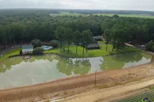 85 Antioch Church Rd, Hawkinsville, GA 31036 - Photo 2