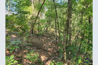 0 Lake Susie Road, Hawkinsville, GA 31036 - Photo 10