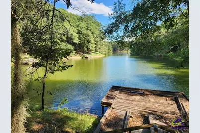 0 Lake Susie Road, Hawkinsville, GA 31036 - Photo 6