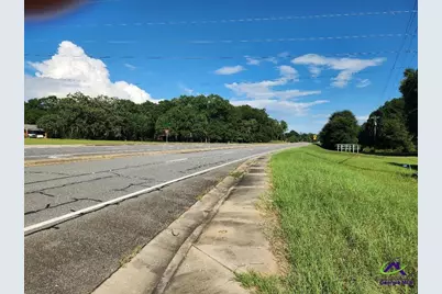 0 Lake Susie Road, Hawkinsville, GA 31036 - Photo 12