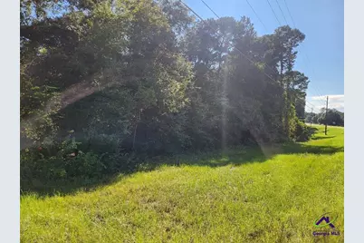 0 Lake Susie Road, Hawkinsville, GA 31036 - Photo 14
