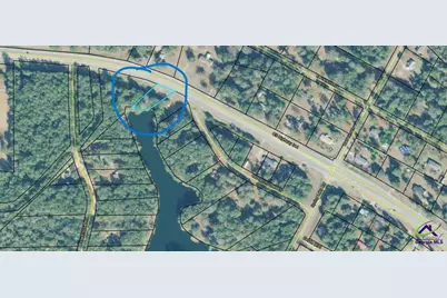 0 Lake Susie Road, Hawkinsville, GA 31036 - Photo 2