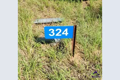 0 Lake Susie Road, Hawkinsville, GA 31036 - Photo 2