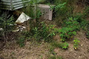 8827 Hwy 1, Louisville, GA 30434 - Photo 6