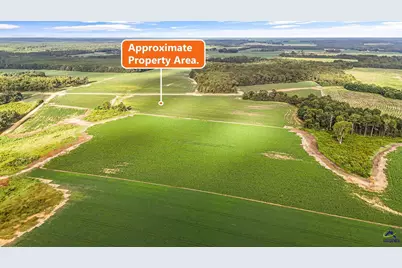 Long Road, Vienna, GA 31092 - Photo 4