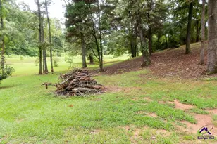 45 Ray Rd, Fort Valley, GA 31030 - Photo 20
