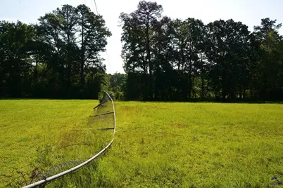118 Thunder, Hawkinsville, GA 31036 - Photo 30