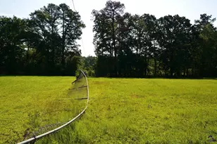 118 Thunder, Hawkinsville, GA 31036 - Photo 30