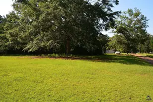 118 Thunder, Hawkinsville, GA 31036 - Photo 32