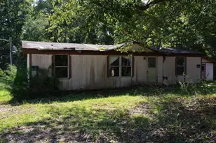 118 Thunder, Hawkinsville, GA 31036 - Photo 44