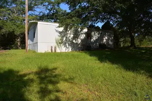 118 Thunder, Hawkinsville, GA 31036 - Photo 38