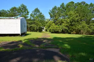 118 Thunder, Hawkinsville, GA 31036 - Photo 18