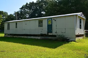 118 Thunder, Hawkinsville, GA 31036 - Photo 22