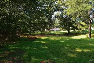 118 Thunder, Hawkinsville, GA 31036 - Photo 42