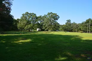 118 Thunder, Hawkinsville, GA 31036 - Photo 28