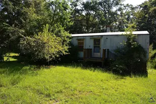118 Thunder, Hawkinsville, GA 31036 - Photo 54