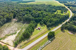 1360 Hwy 26, Hawkinsville, GA 31036 - Photo 50