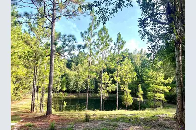 85 Shady Oaks Crossroad, Eastman, GA 31023 - Photo 8