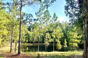 85 Shady Oaks Crossroad, Eastman, GA 31023 - Photo 8