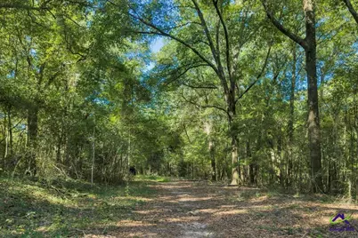 0 Airport, Hawkinsville, GA 31036 - Photo 4