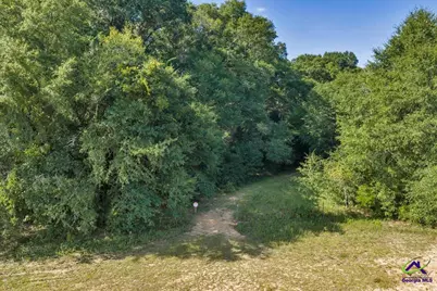 0 Airport, Hawkinsville, GA 31036 - Photo 24