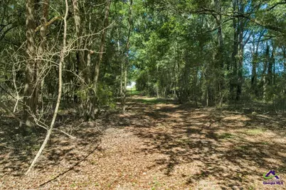 0 Airport, Hawkinsville, GA 31036 - Photo 12
