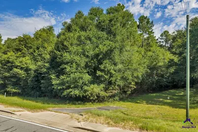 0 Airport, Hawkinsville, GA 31036 - Photo 2
