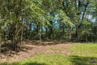 0 Airport, Hawkinsville, GA 31036 - Photo 6