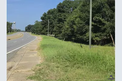 0 Airport, Hawkinsville, GA 31036 - Photo 8