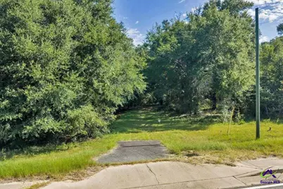 0 Airport, Hawkinsville, GA 31036 - Photo 1