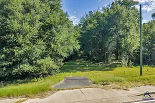 0 Airport, Hawkinsville, GA 31036 - Photo 1