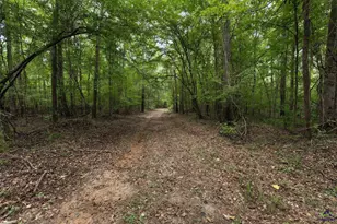 1116 County Line Rd, Elko, GA 31091 - Photo 50