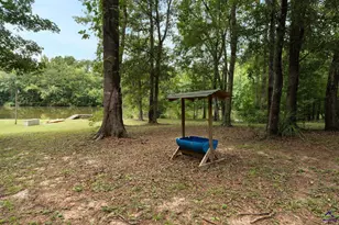 1116 County Line Rd, Elko, GA 31091 - Photo 52