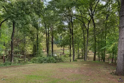 1116 County Line Road, Elko, GA 31091 - Photo 42
